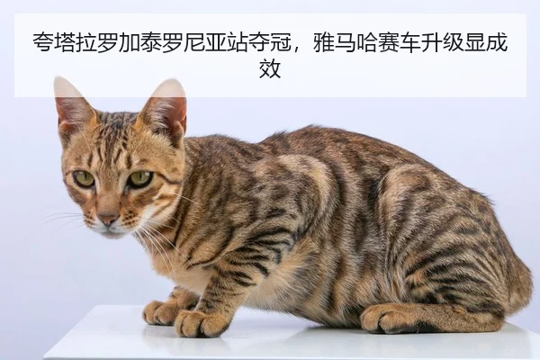 夸塔拉罗加泰罗尼亚站夺冠，雅马哈赛车升级显成效